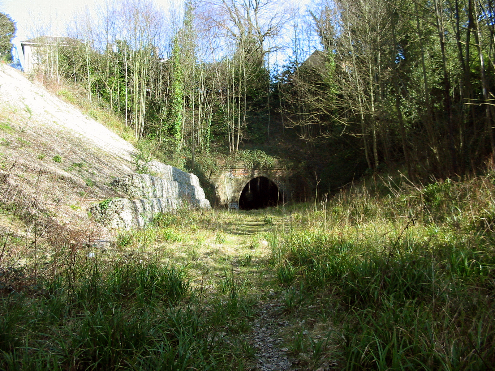 Accident între un microbuz și un tren în Eurotunel. 19 persoane au fost rănite