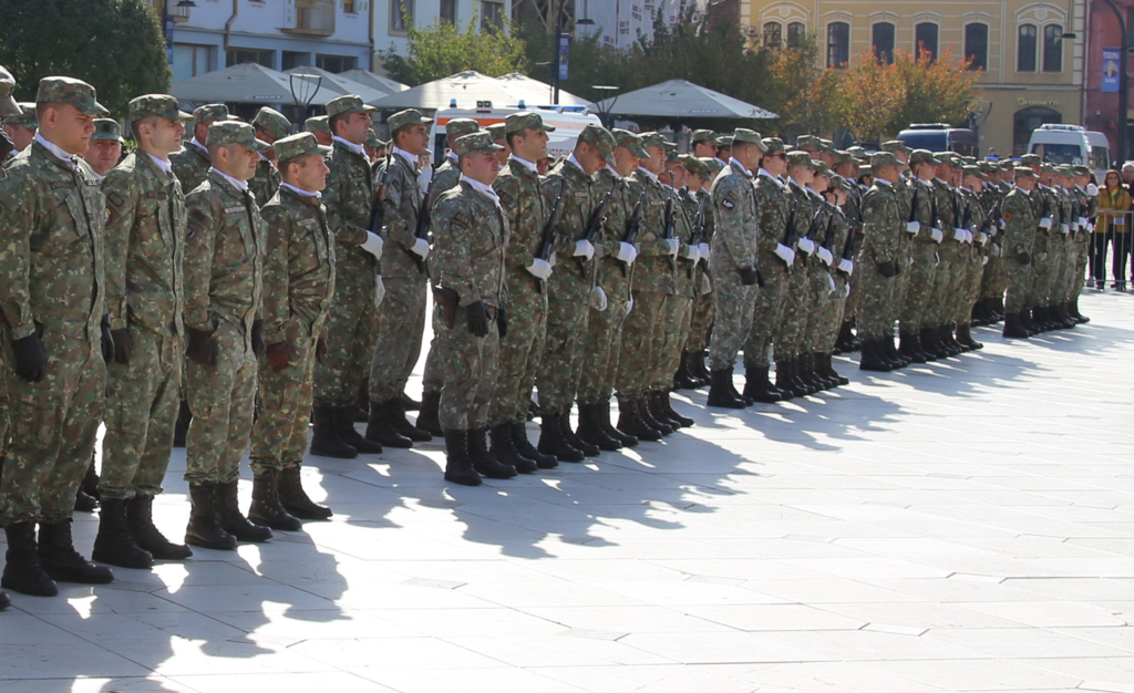Armata României a sporit efectivele cu peste 4.000 de militari profesioniști