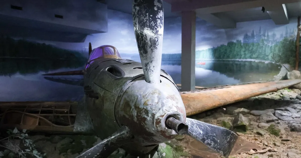 Epava unui avion de vânătoare sovietic din Al Doilea Război Mondial a fost descoperită în Ungaria