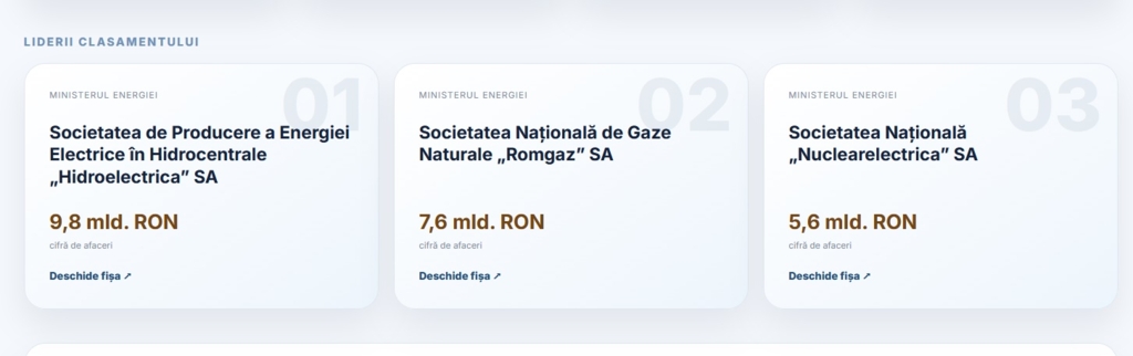 Topul companiilor de stat din România: Hidroelectrica, Romgaz și Nuclearelectrica domină piața energiei