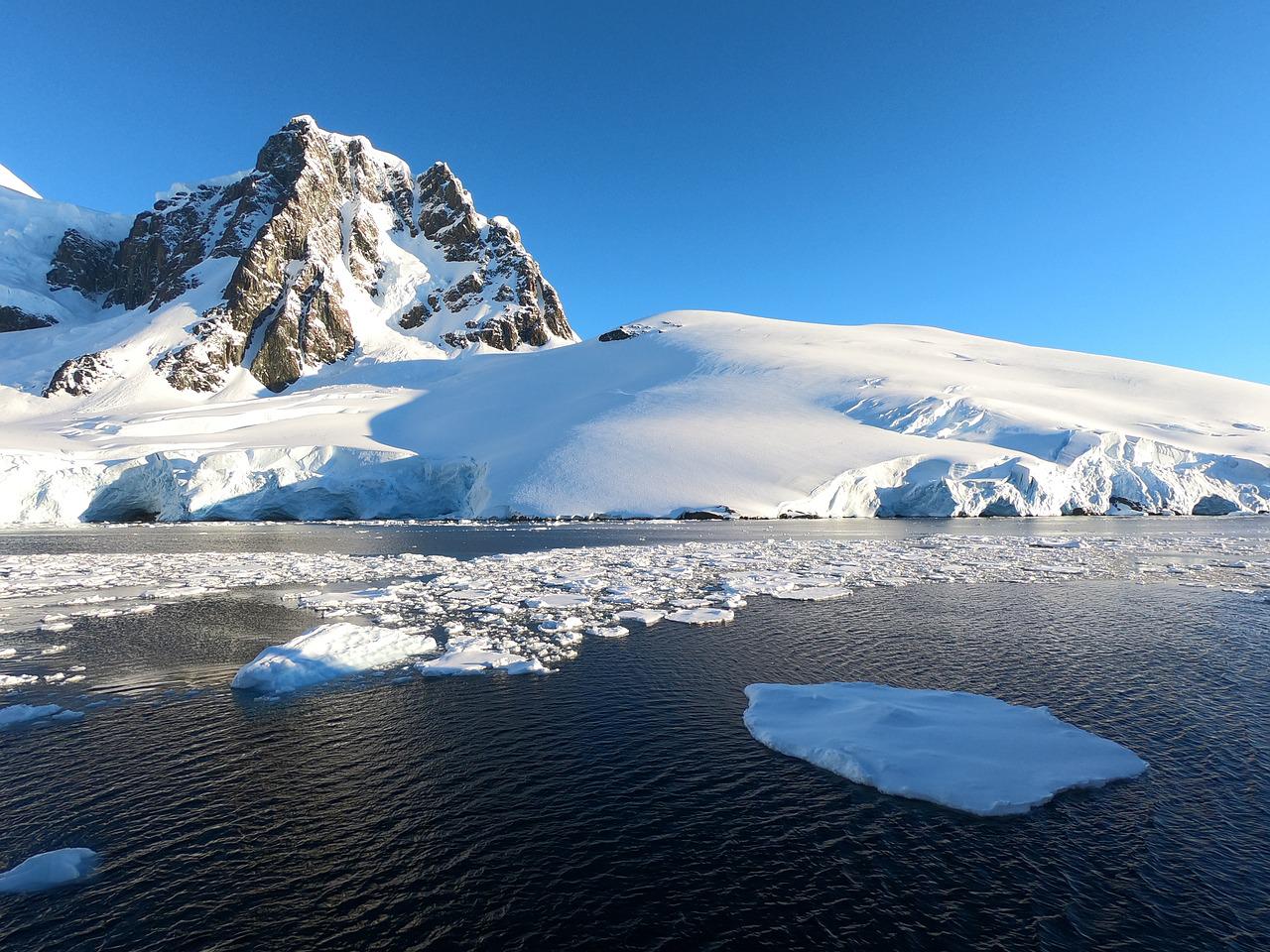 De la corporația Hewlett-Packard la Antarctica: Povestea femeii care s-a reinventat la 59 de ani