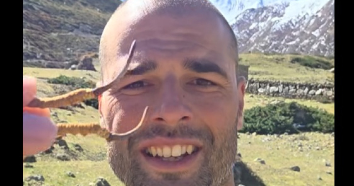 Un pasionat de ciuperci a găsit în Nepal „Viagra din Himalaya”, o specie extrem de rară și scumpă