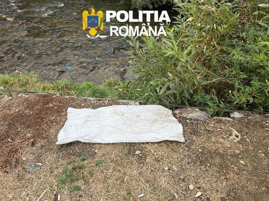 Bărbat reținut în Sibiu după ce a aruncat un cățeluș într-un sac legat în râul Sadu