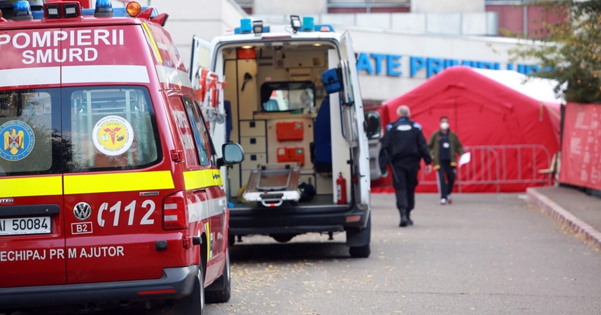 Tragedie în Botoșani: Un inginer silvic a murit după ce a fost lovit de o creangă