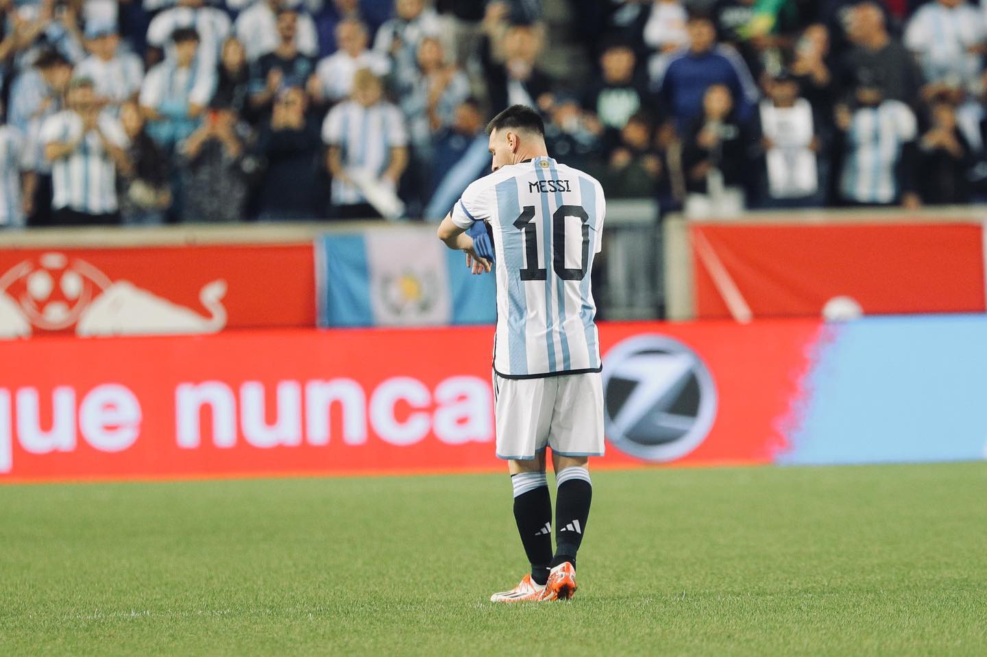 O nouă specie de plantă descoperită în Munții Anzi poartă numele fotbalistului Lionel Messi