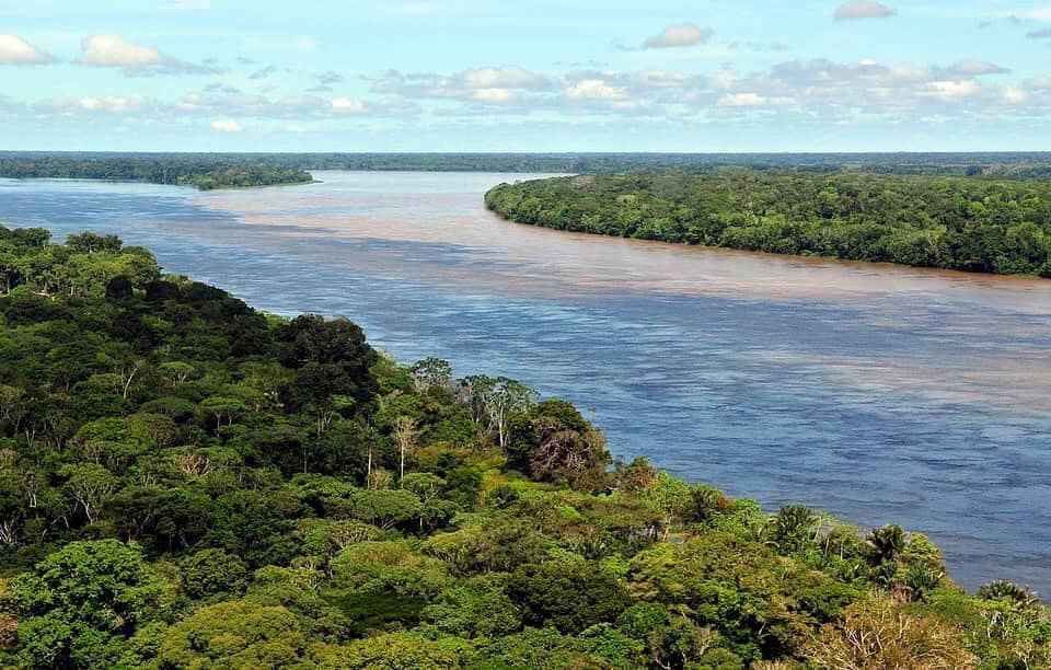 Lideri indigeni din Amazon duc în fața ONU problema rețelelor criminale care distrug ecosistemele