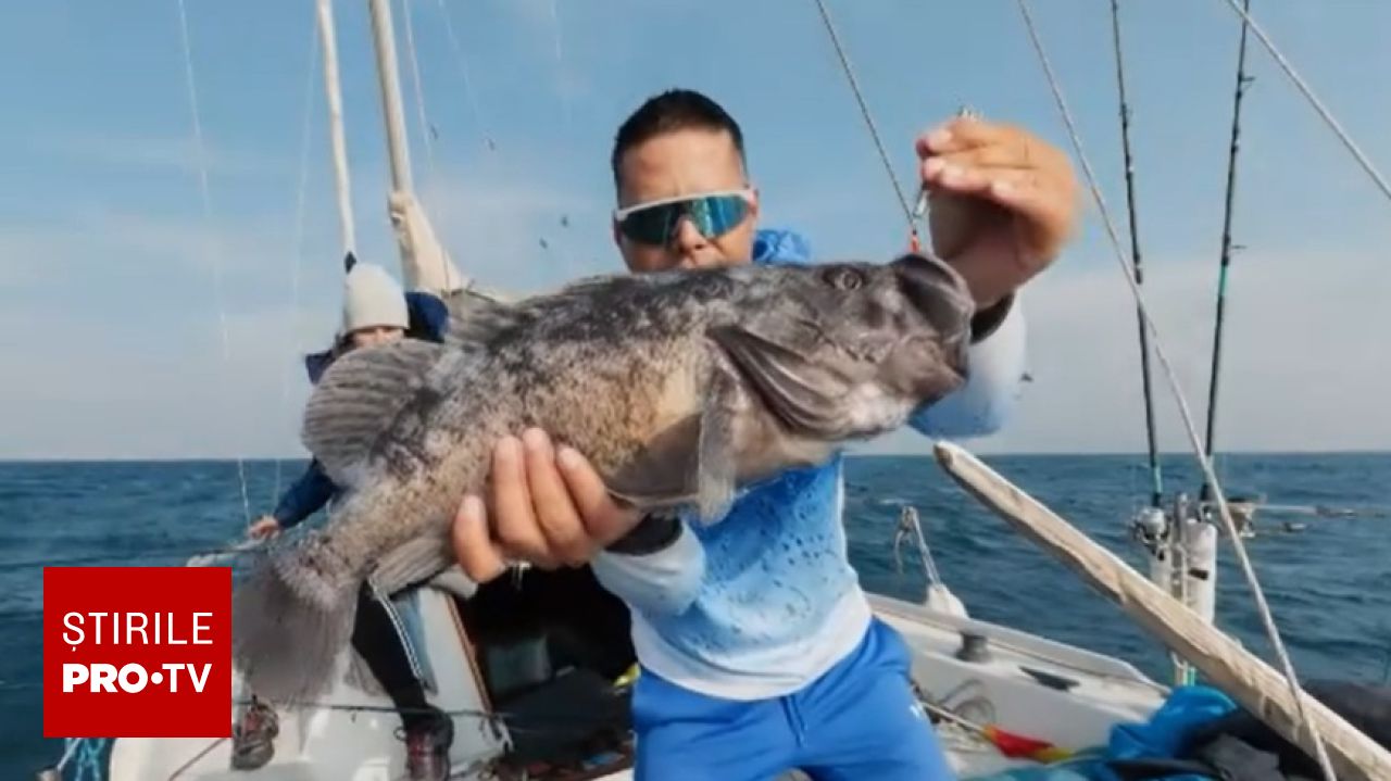 O specie exotică din Pacific a apărut în Marea Neagră: peștele Korean rockfish este prins de pescarii români