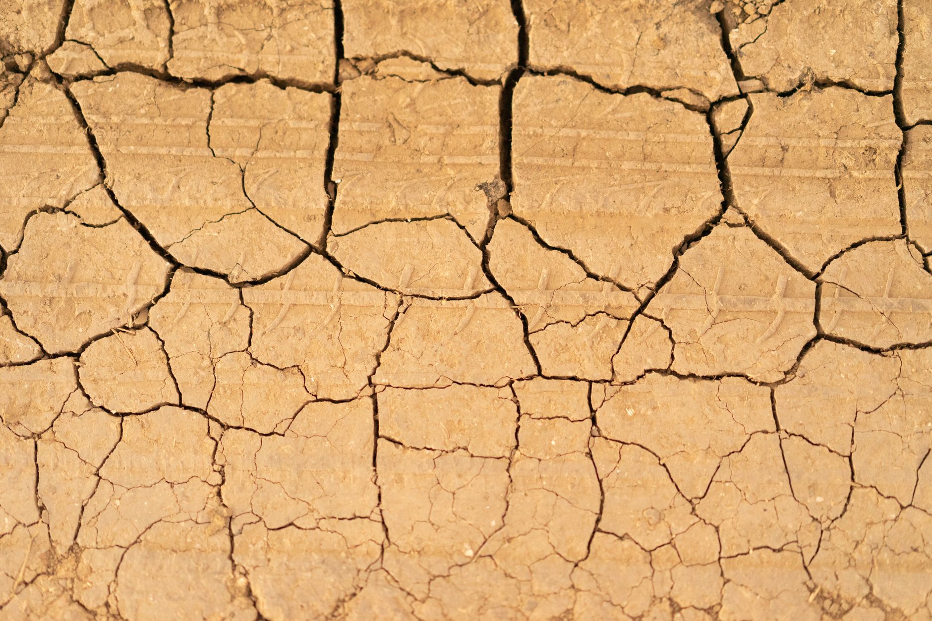 New York Times a retras o formulare controversată despre israelieni după reacțiile de indignare