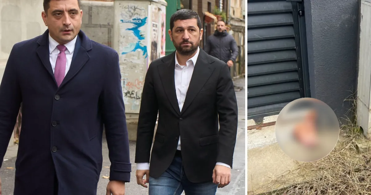 Al doilea incident de intimidare împotriva lui Marius Lulea: un cap de porc găsit la sediul unei firme