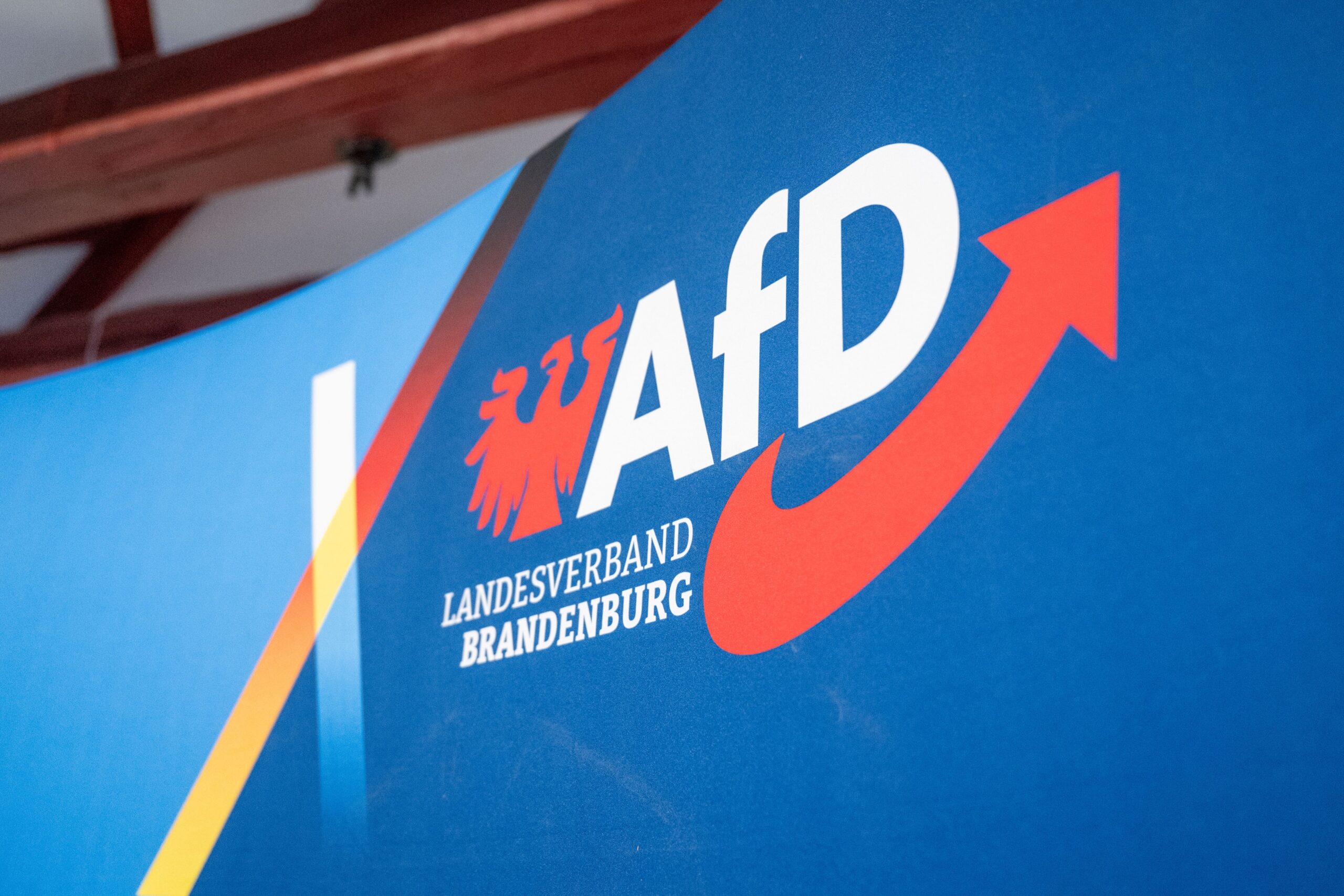 Partidul AfD din Germania este ținta unui atac cibernetic masiv care a compromis mii de e-mailuri