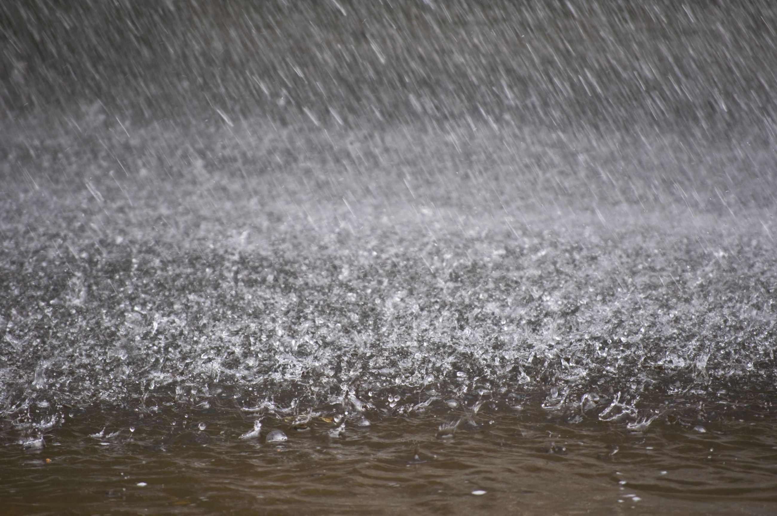 Avertisment meteorologic pentru România: vânt puternic și ploi cu aversă în majoritatea zonelor țării