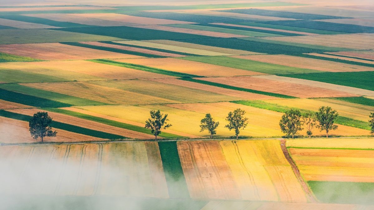 Prețurile terenurilor agricole în România: de la 4.300 la peste 12.000 de euro pe hectar