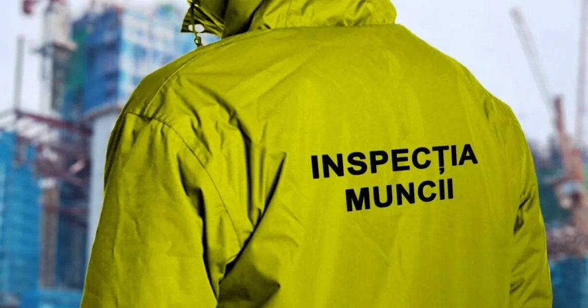 Angajatorii vor comunica cu Inspecția Muncii prin noua platformă SPV
