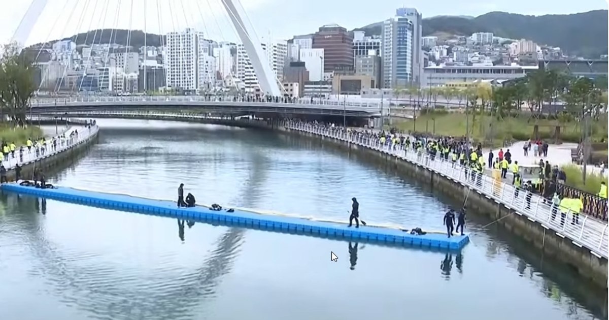 Un rechin de peste trei metri refuză să părăsească un canal din Coreea de Sud