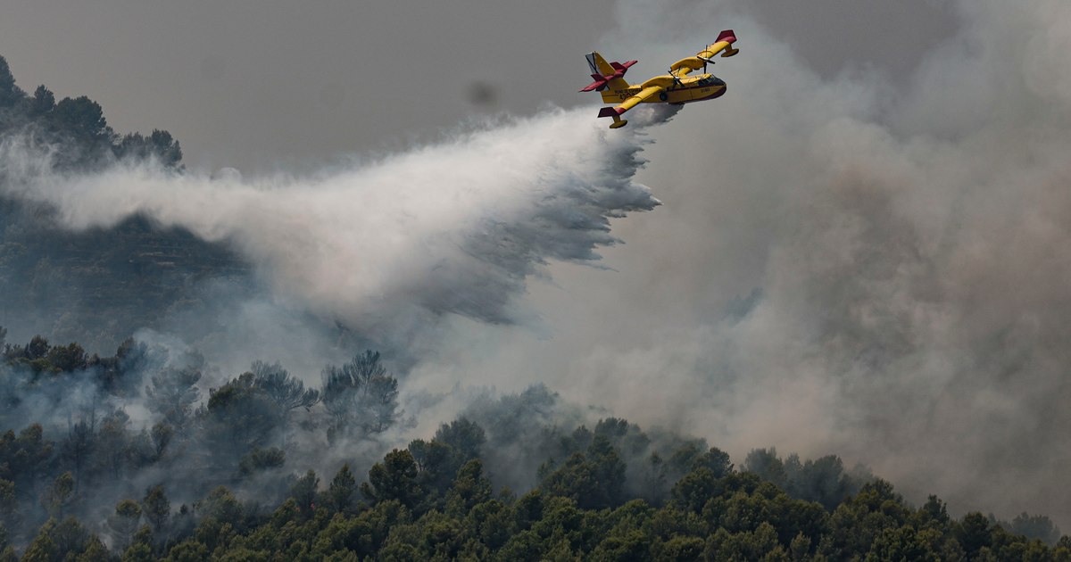 Depopularea rurală alimentează incendiile de vegetație în Europa: Cum transformă abandonul terenurilor riscul de foc