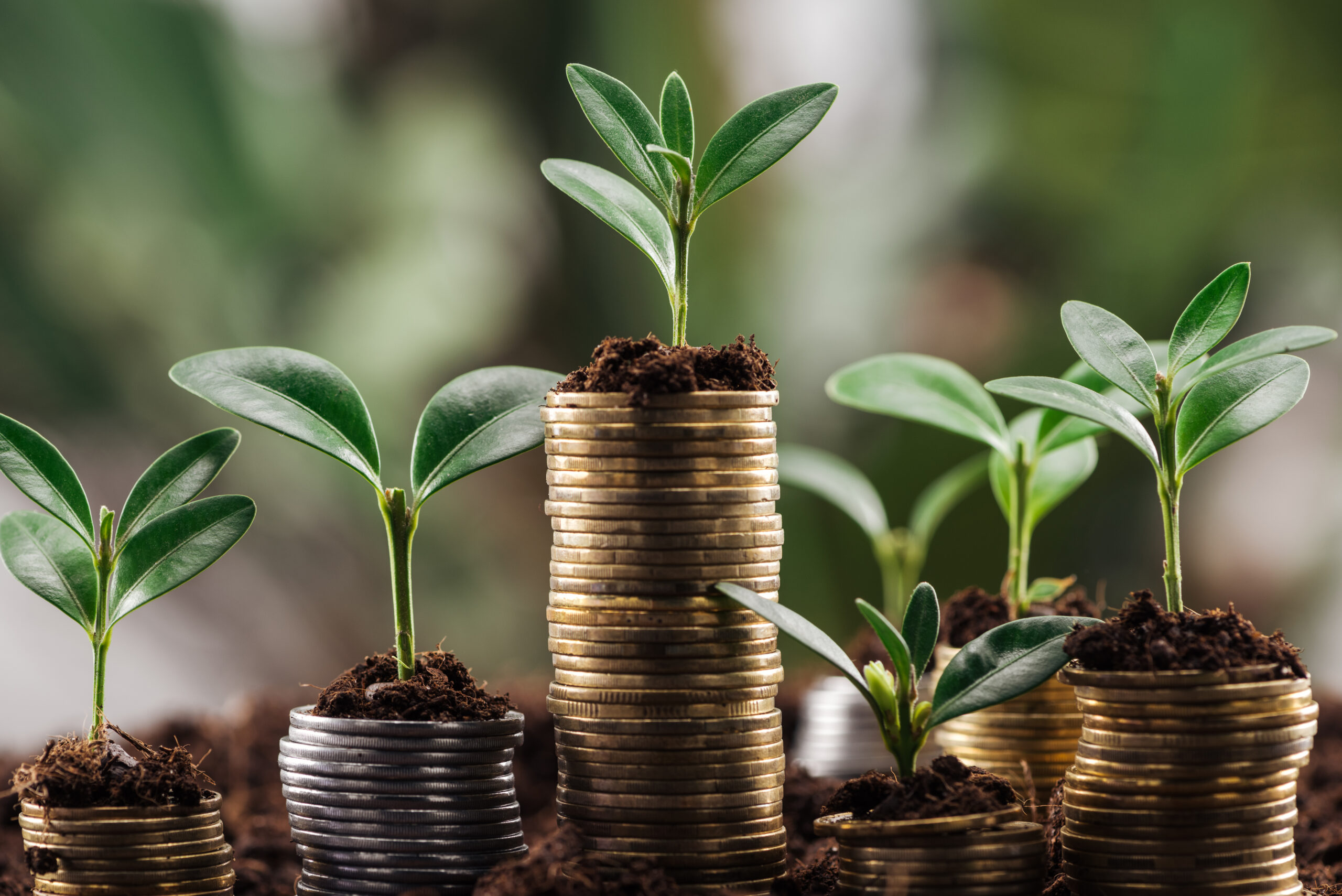 Prioritățile financiare ale românilor: între economisire, protecție și investiții