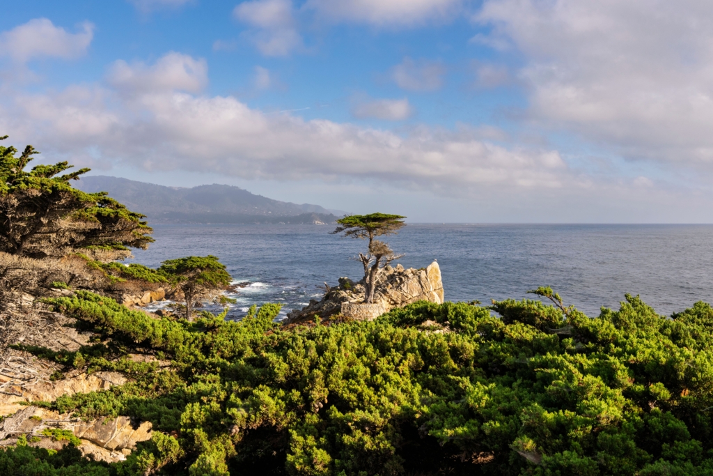 Americanca Catherine Breed a înotat 1.448 de kilometri de-a lungul coastei Californiei