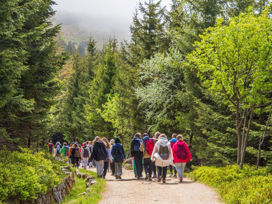 Programul Școala Altfel și Săptămâna Verde: Limitările activităților gratuite pentru elevi
