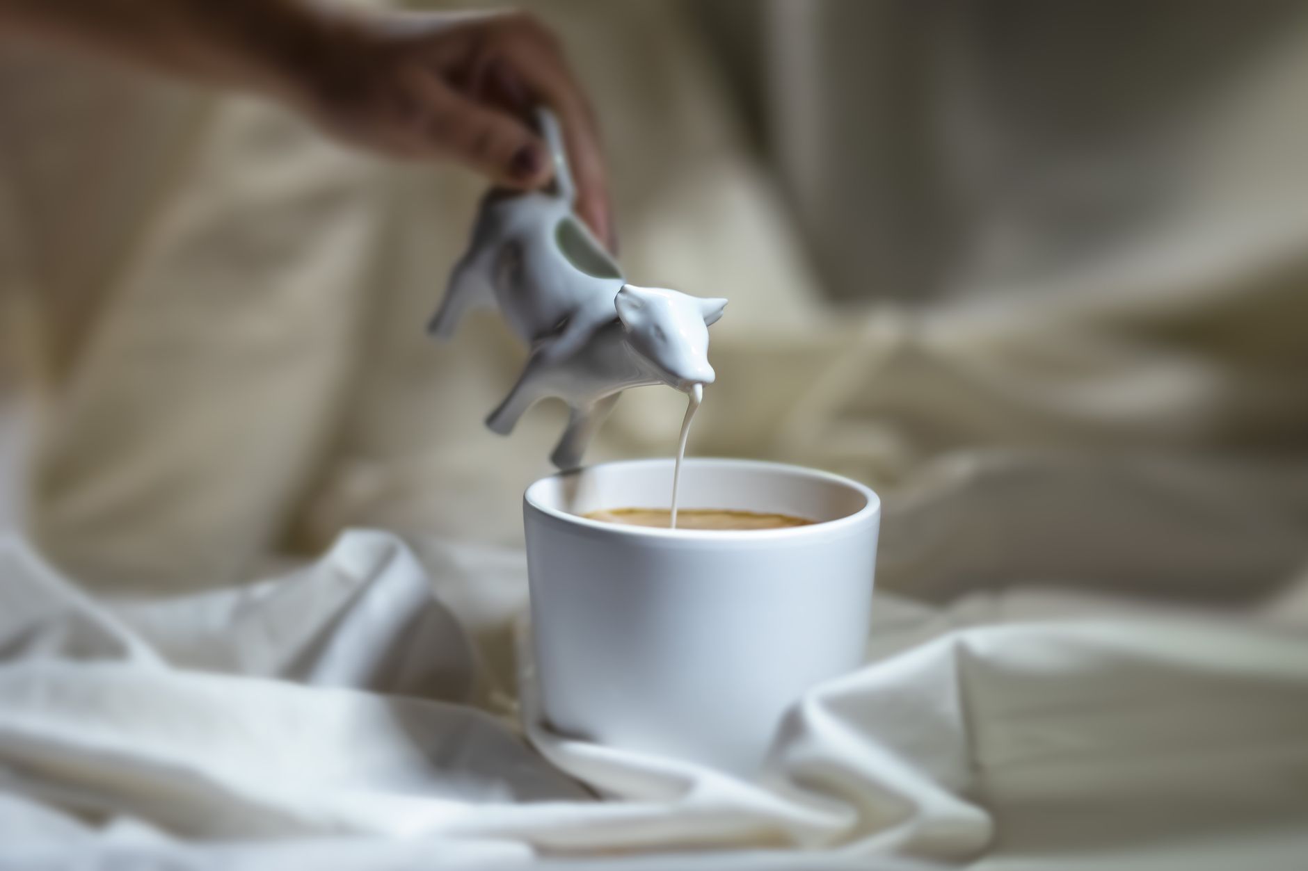 Cremele pentru cafea fără lactate au depășit zahărul ca aport caloric, arată un studiu de amploare
