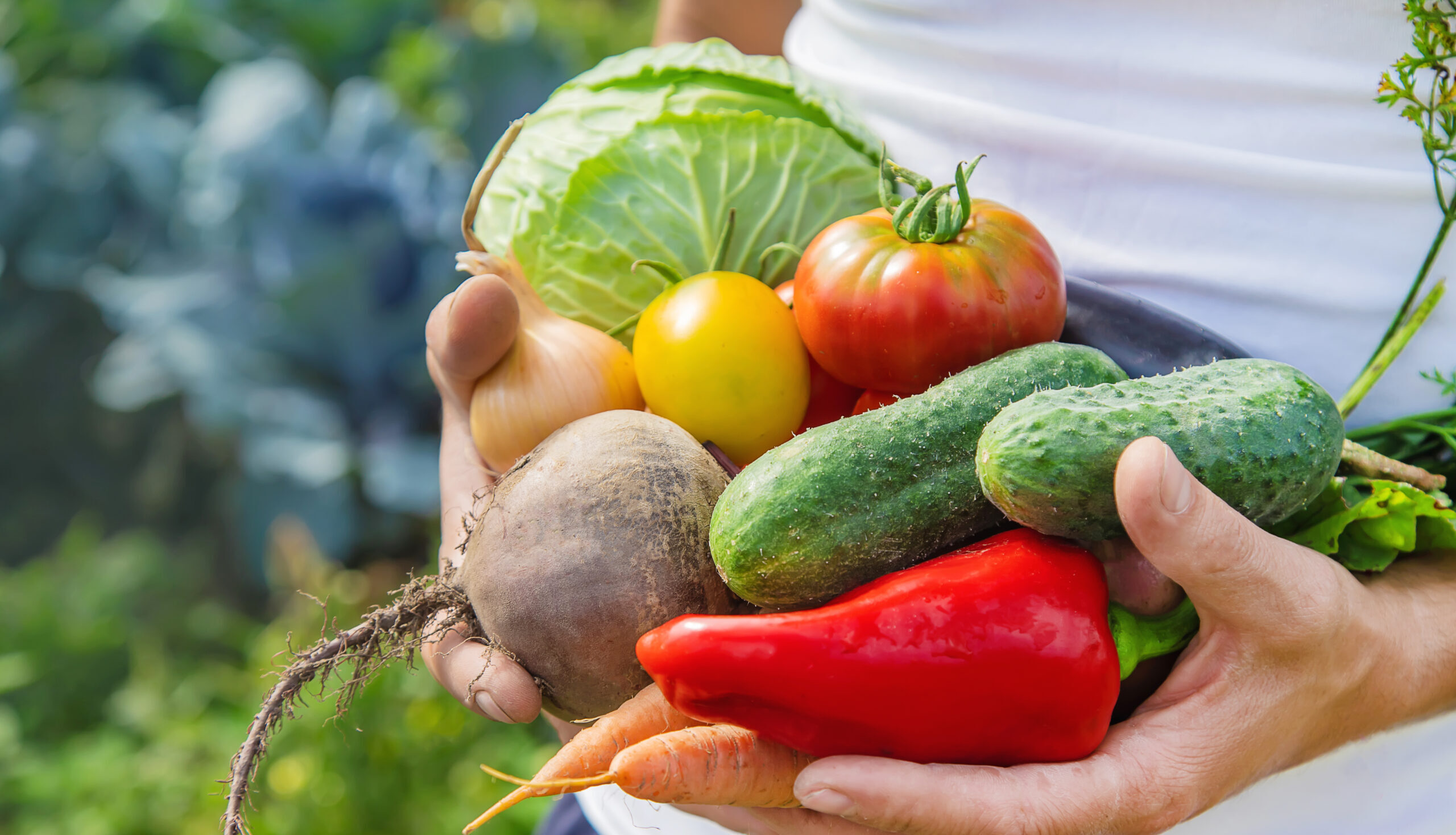 Declacul calității nutriționale a alimentelor: de ce fructele și legumele de astăzi sunt mai sărace în nutrienți