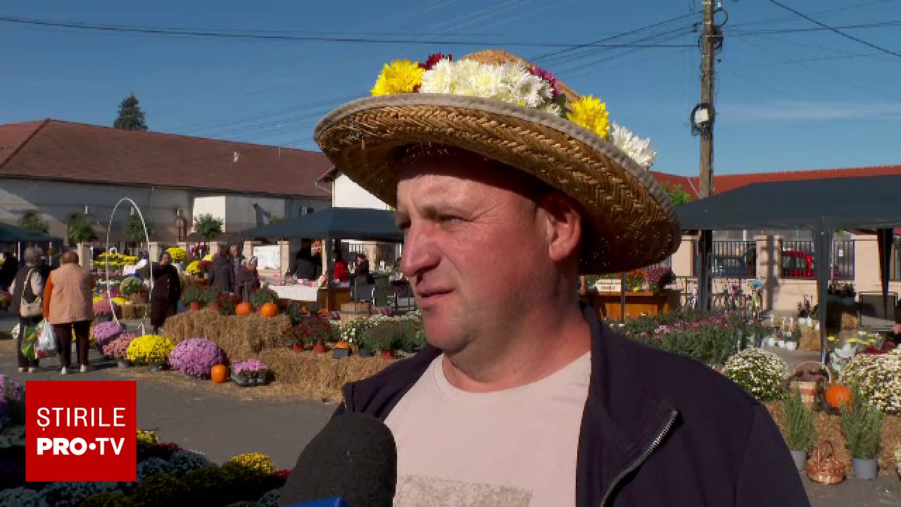 Fermierii din Curtici au abandonat cultivarea legumelor pentru a produce flori