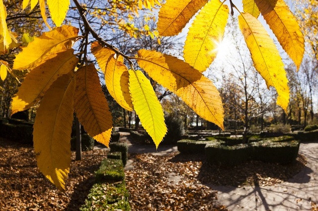 Prognoză meteo pentru octombrie: temperaturi peste normal și variații de precipitații