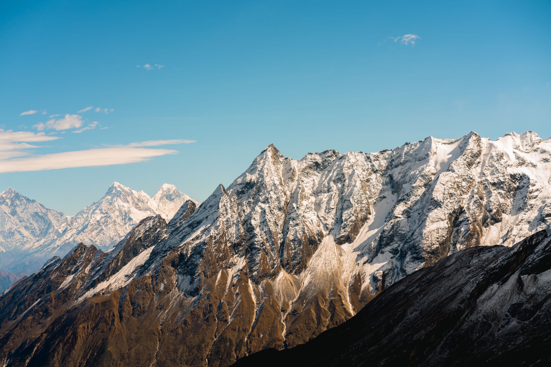 Descoperire rară în Himalaya: un polonez a găsit ciuperca omidă, extrem de căutată și scumpă
