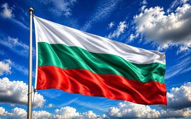Scandal la alegerile din Bulgaria: Președintele unei secții de votare a fost demis pentru alcoolism