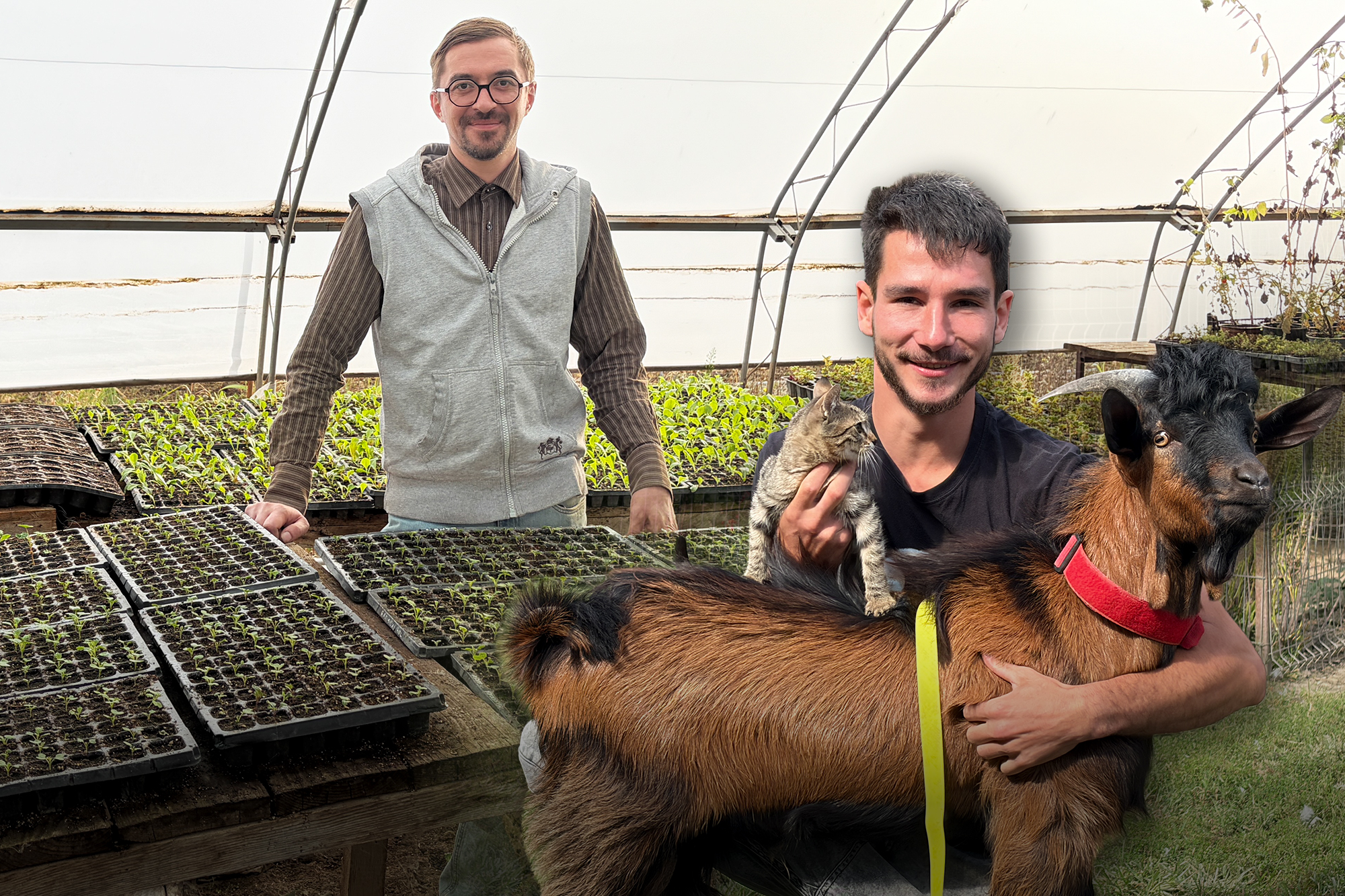 Tinerii fermieri din România inovează prin agricultură regenerativă și tehnologie digitală