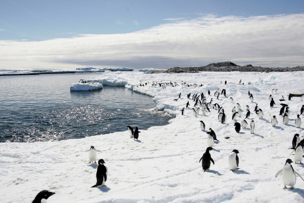 Britanicul George Clarke părăsește totul pentru a gestiona cel mai sudic oficiu poștal din Antarctica