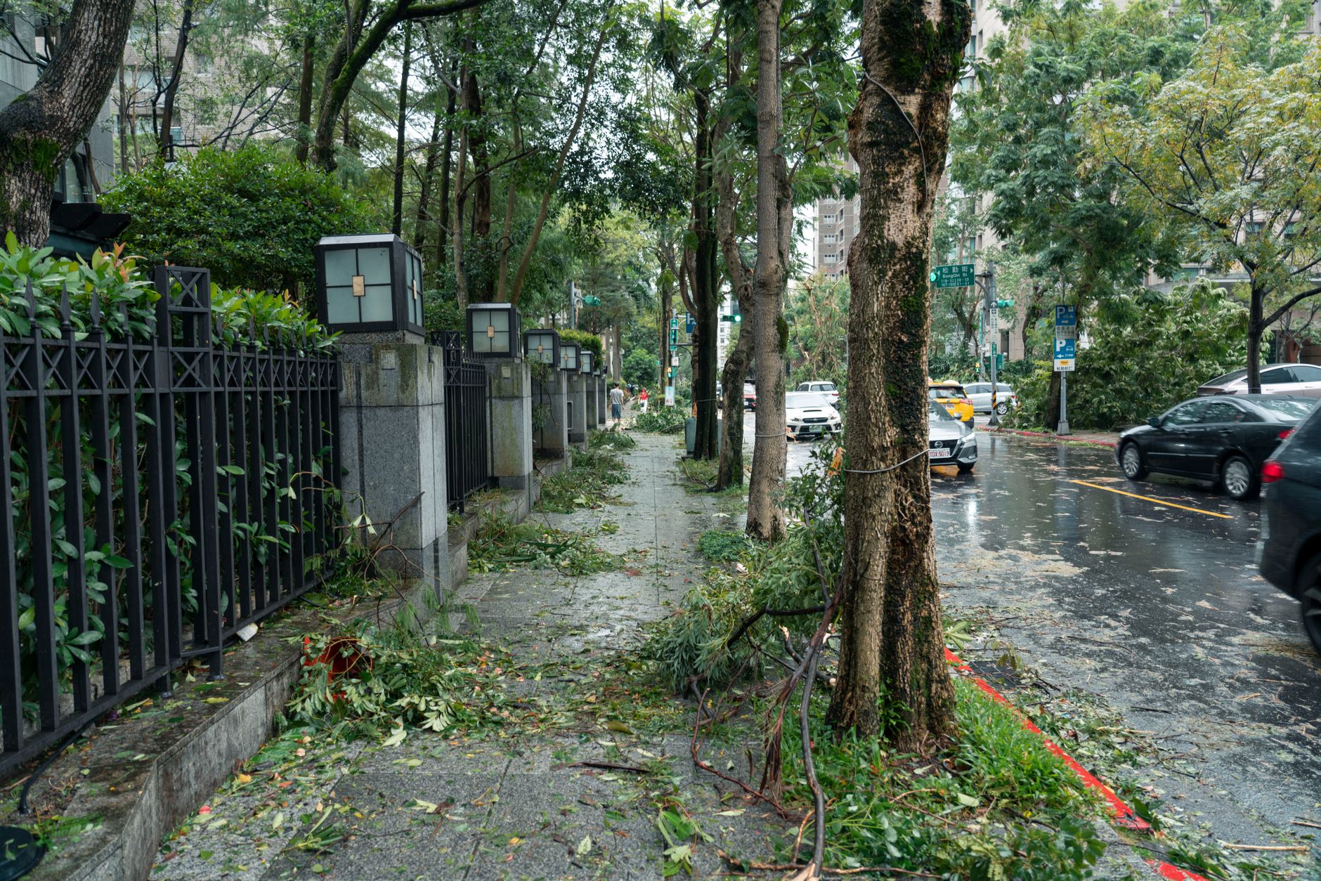 Tragedie în Marea Britanie după furtuna Boelo: doi morți și peste 160.000 de locuințe fără curent