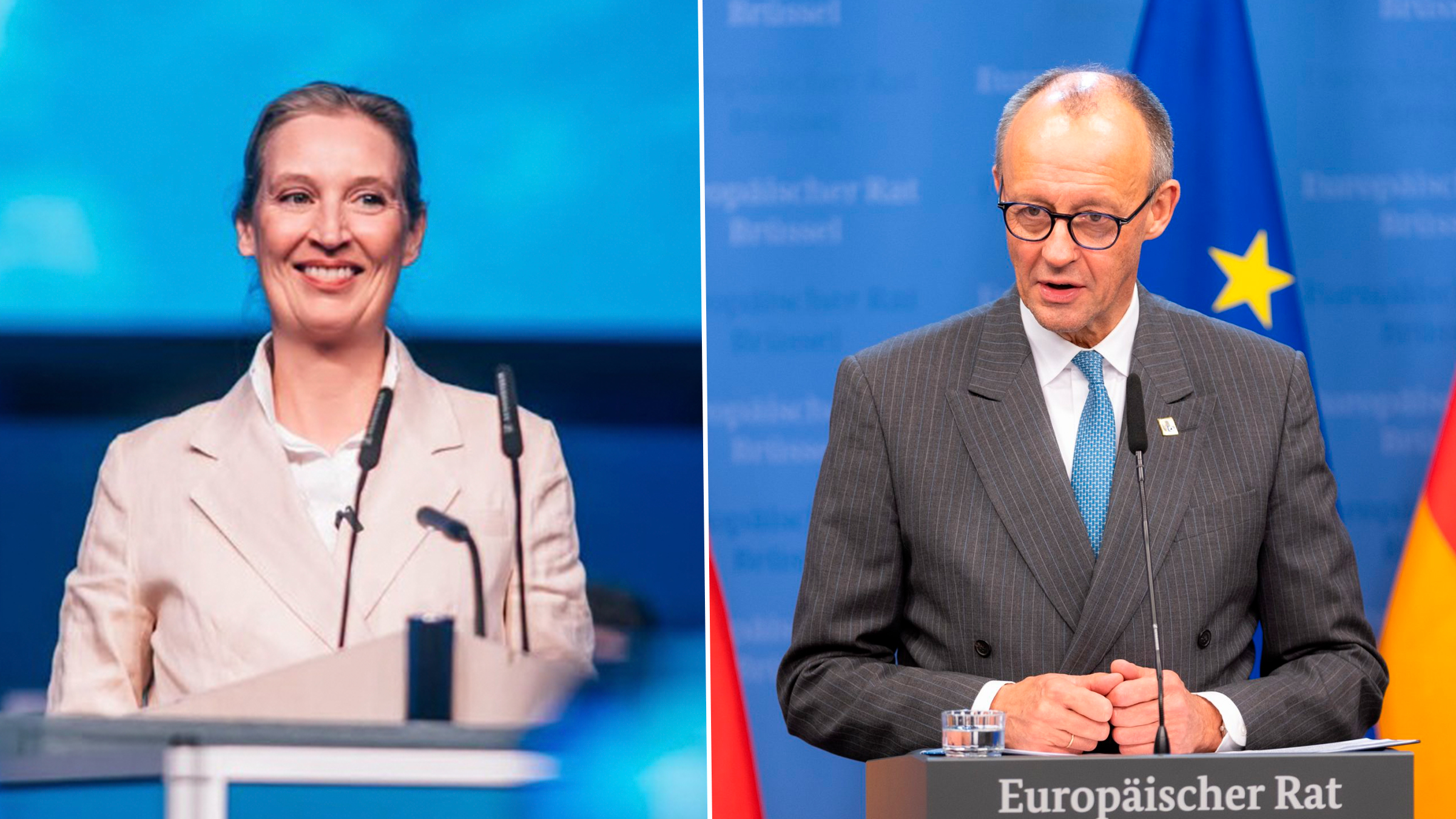 Planul partidului AfD de a transforma UE într-o federație de națiuni suverane, conform The Telegraph