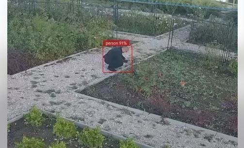 Primul parc din România cu supraveghere prin inteligență artificială a fost inaugurat la Tulcea