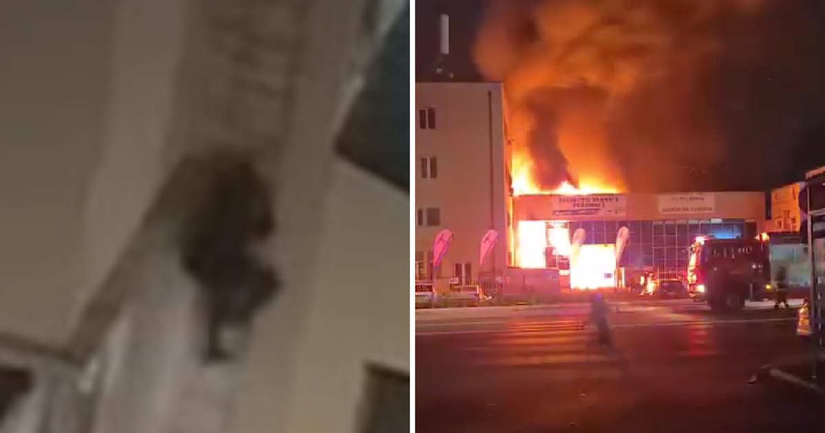 Pagube majore după incendiul de la Carfil: Cine va plăti reparațiile după sabotajul atribuit Rusiei