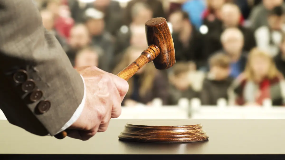 Condamnarea femeii care a ucis-o pe Anastasia: 5 ani și 6 luni de închisoare cu executare
