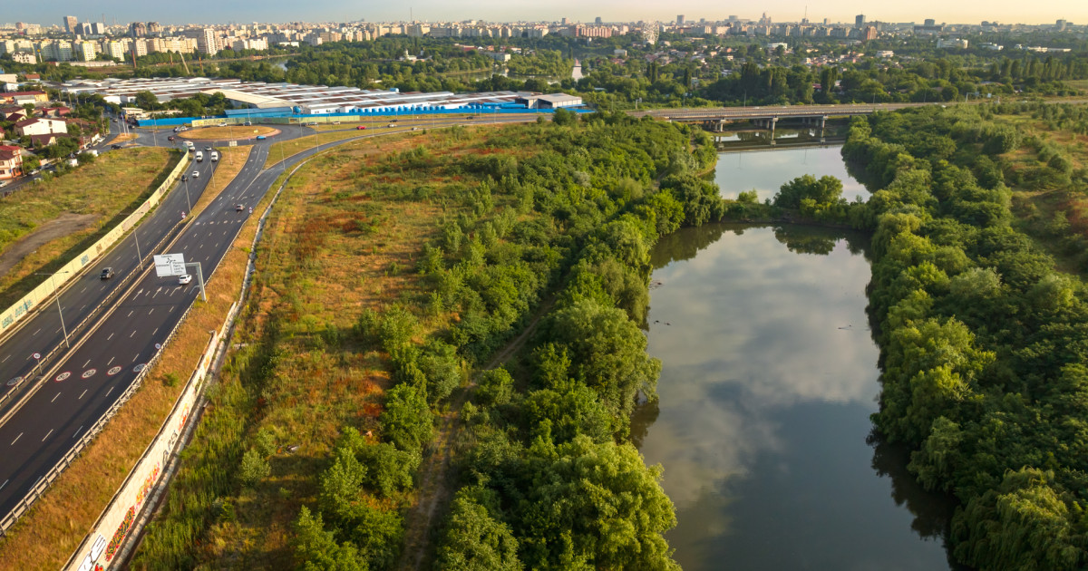 Valea Saulei devine arie naturală protejată în București. Zona adăpostește peste 350 de specii