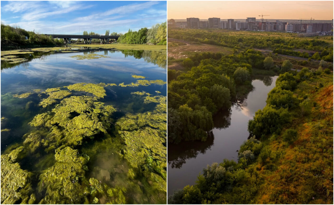 Valea Saulei devine a treia arie naturală protejată din București. Zona găzduiește peste 80 de specii de păsări
