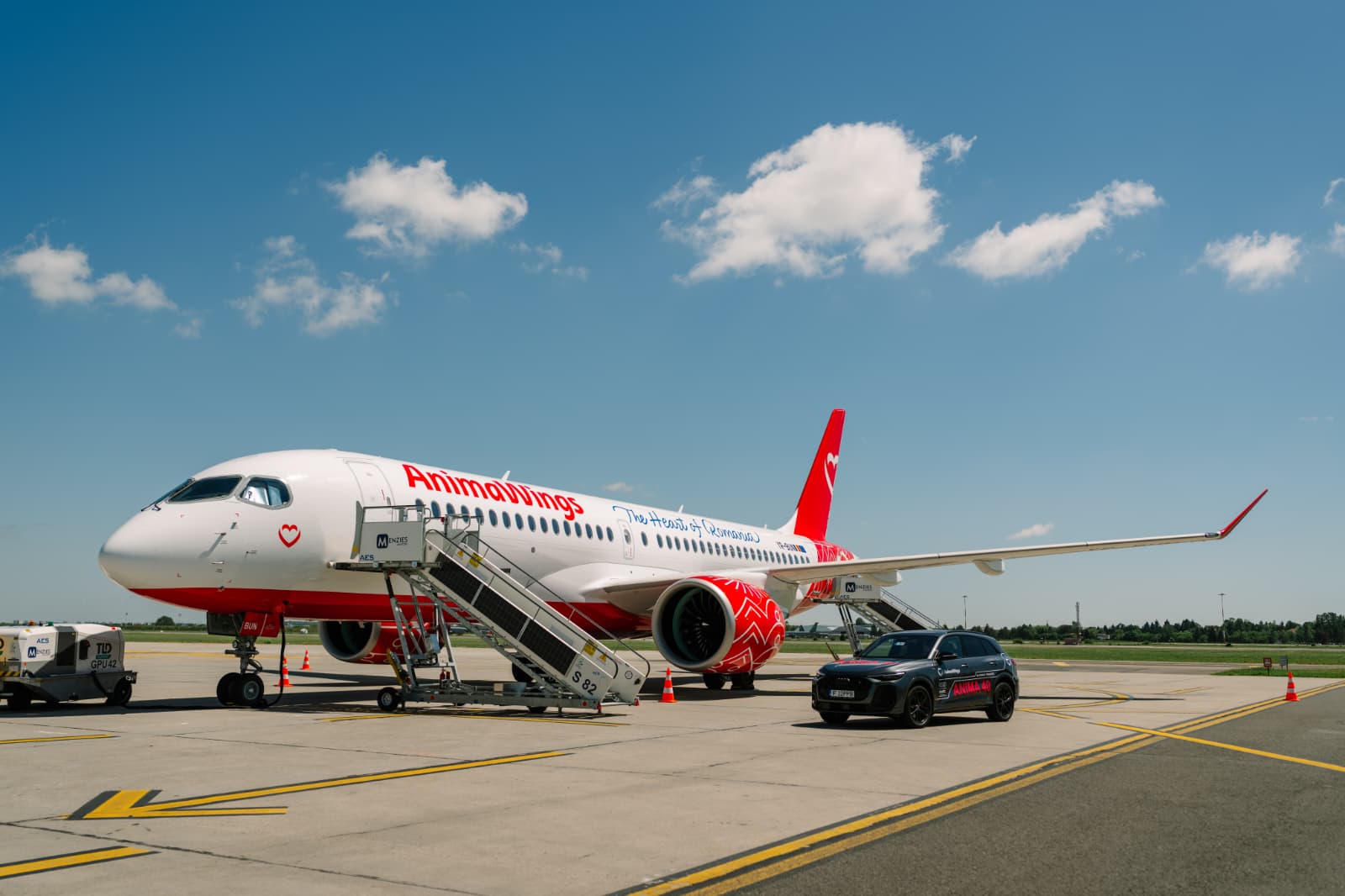 Compania aeriană AnimaWings intră în insolvență după o perioadă de creștere a pierderilor