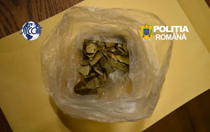 Fundație de „vindecare” și „explorare a conștiinței” areată pentru trafic de droguri în Hunedoara