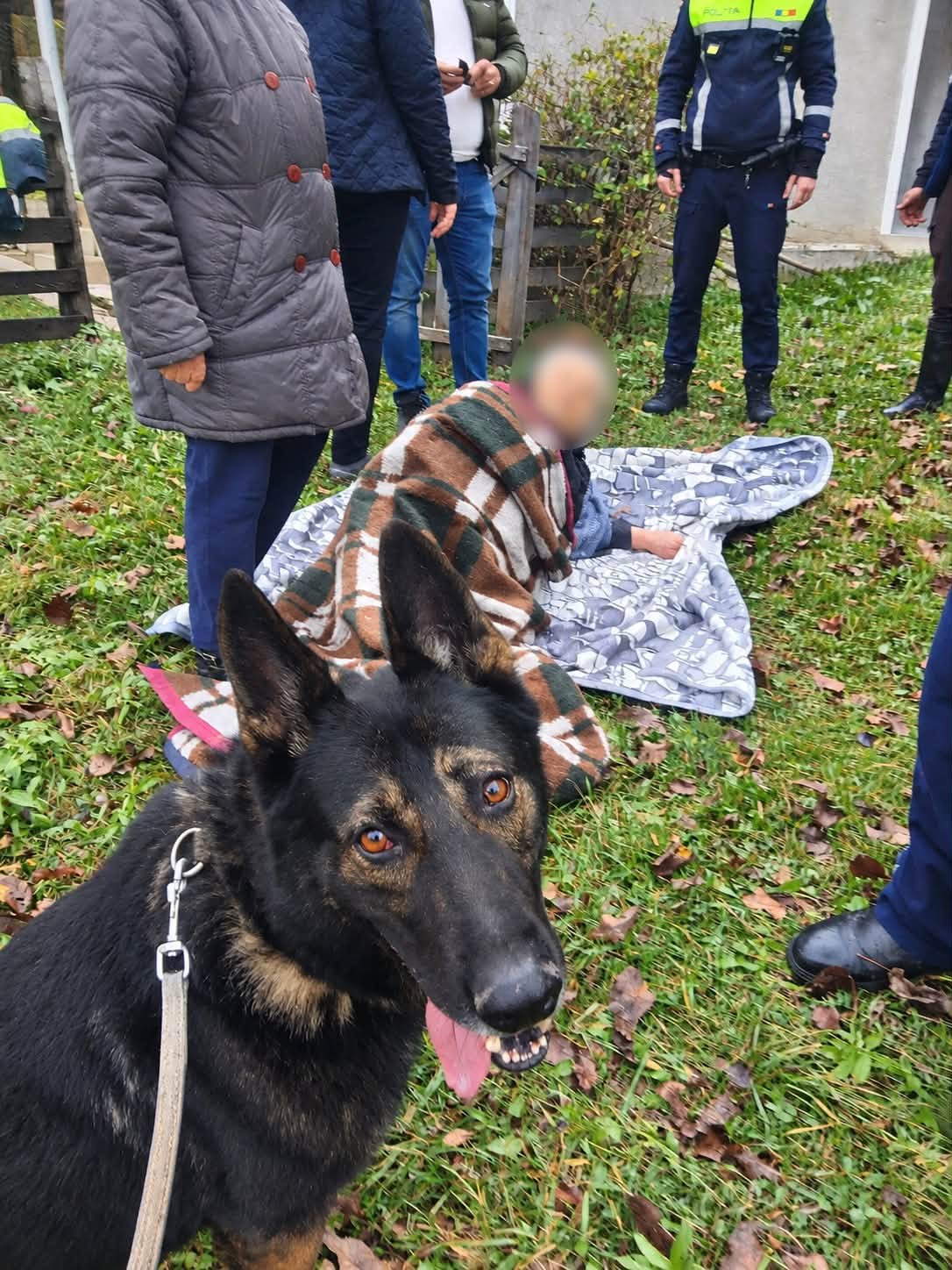 O femeie de 81 de ani a fost găsită vie în județul Neamț, după ce câinele Aris a identificat urma ei