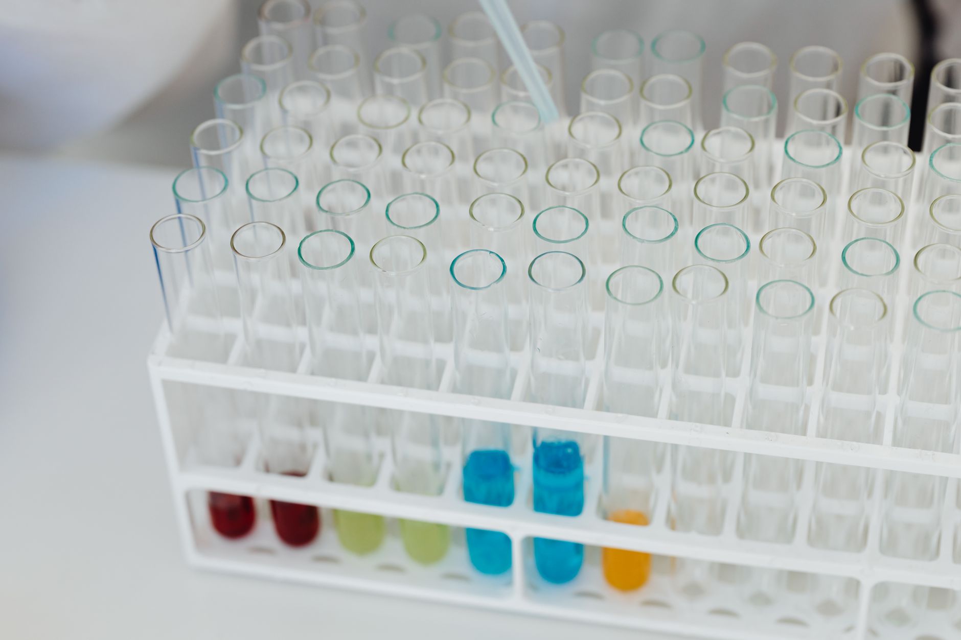 SGS România prezintă soluții de testare și certificare la târgul INDAGRA 2026