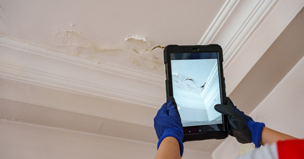 Fisuri în pereți după renovarea vecinului: cum poți cere despăgubiri și cine plătește reparațiile