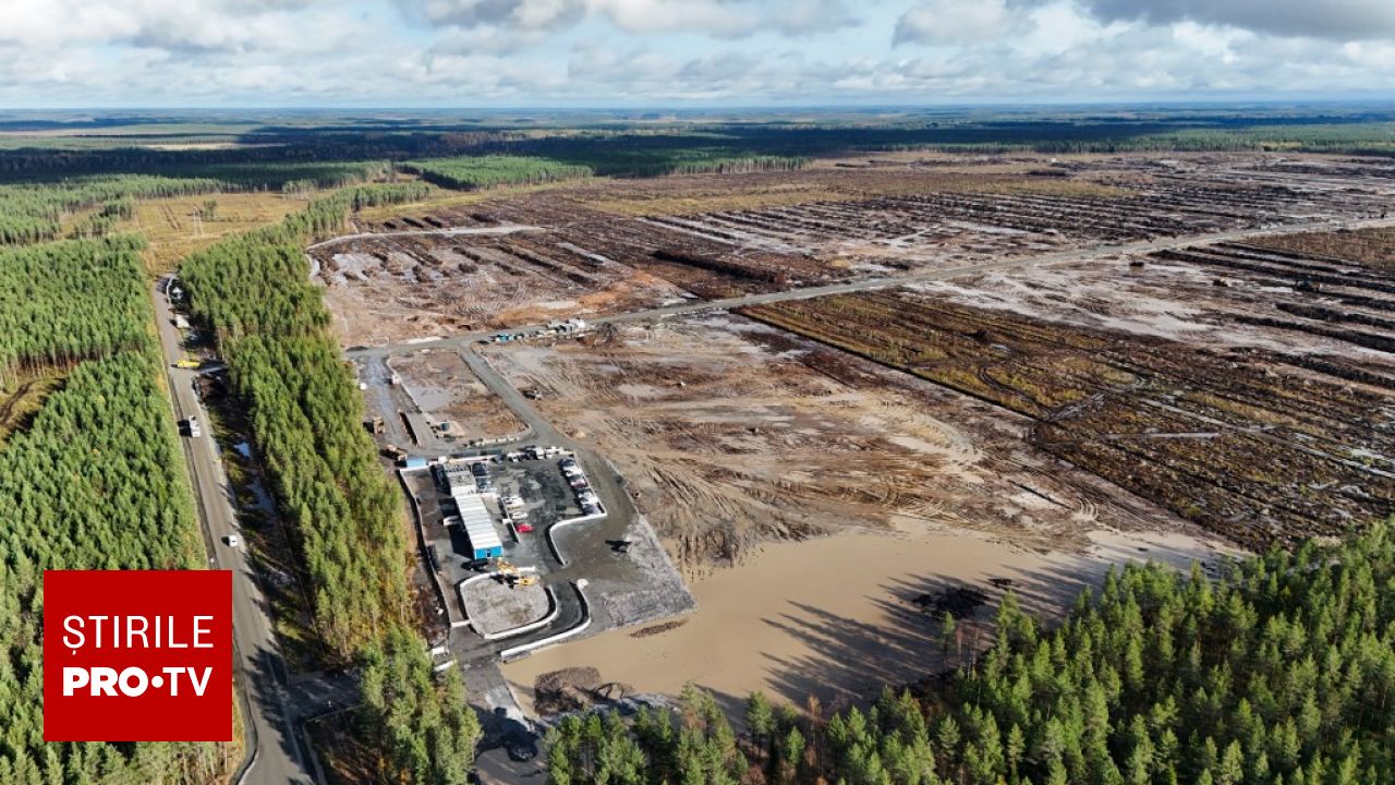 Anchetă penală în Finlanda după ce Google a defrișat 330 de hectare de pădure pentru un centru de date