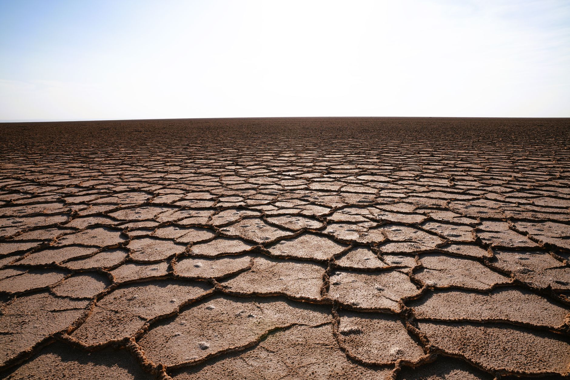 Fenomenul Super El Niño ar putea provoca peste 850.000 de decese din cauza căldurii