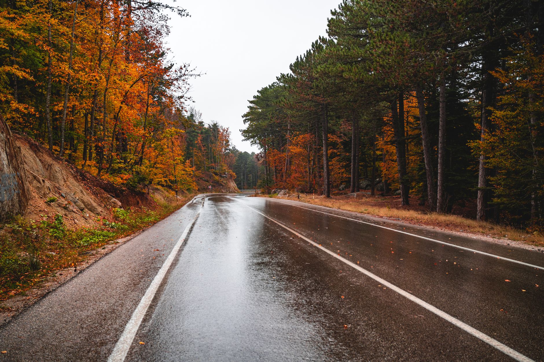 Avertisment meteo pentru weekend: Cod galben de ploi în cinci județe și ninsori în Carpații Meridionali