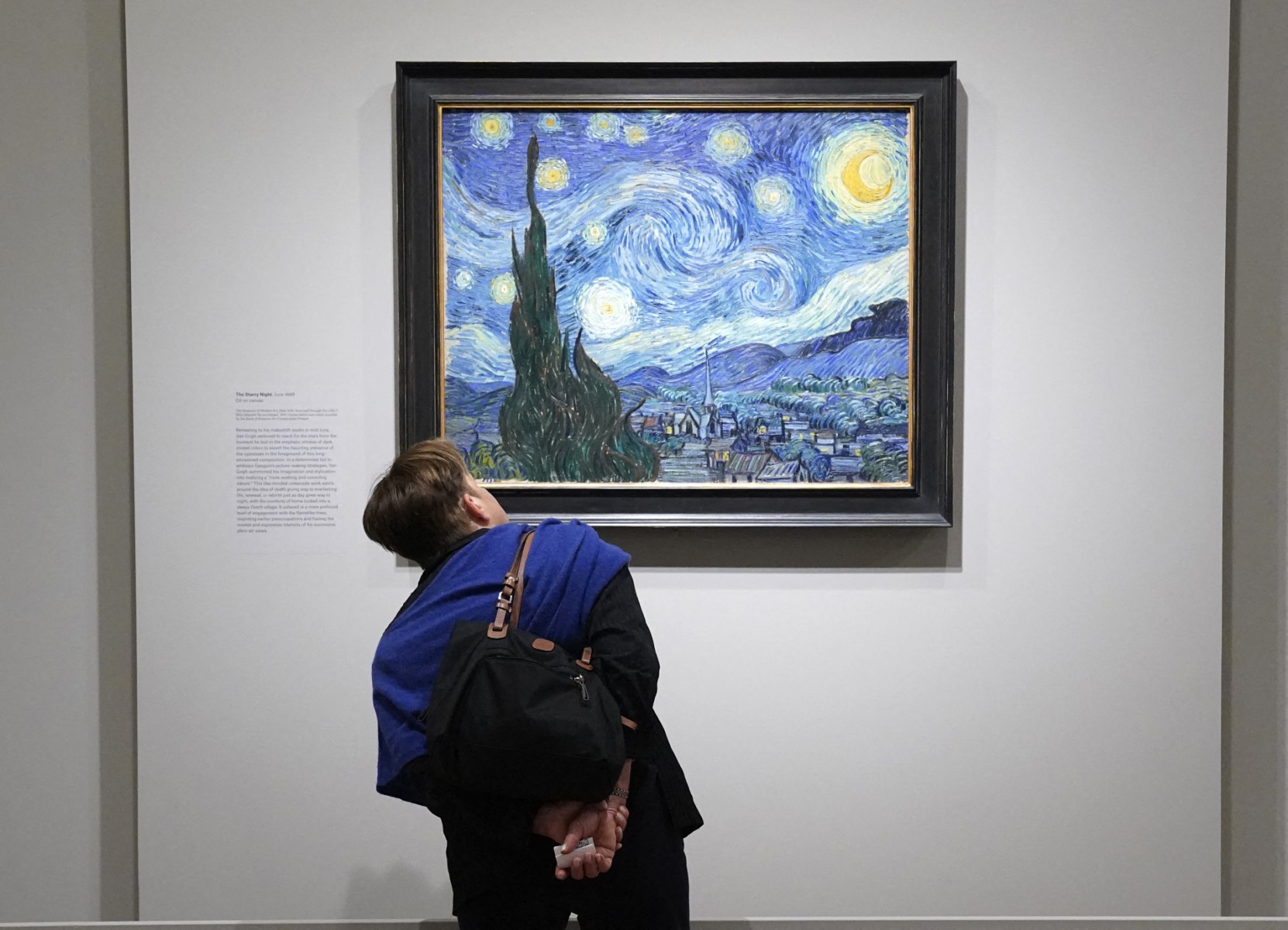 Astronomii au identificat data exactă a cerului reprezentat în tabloul Noaptea înstelată al lui Van Gogh