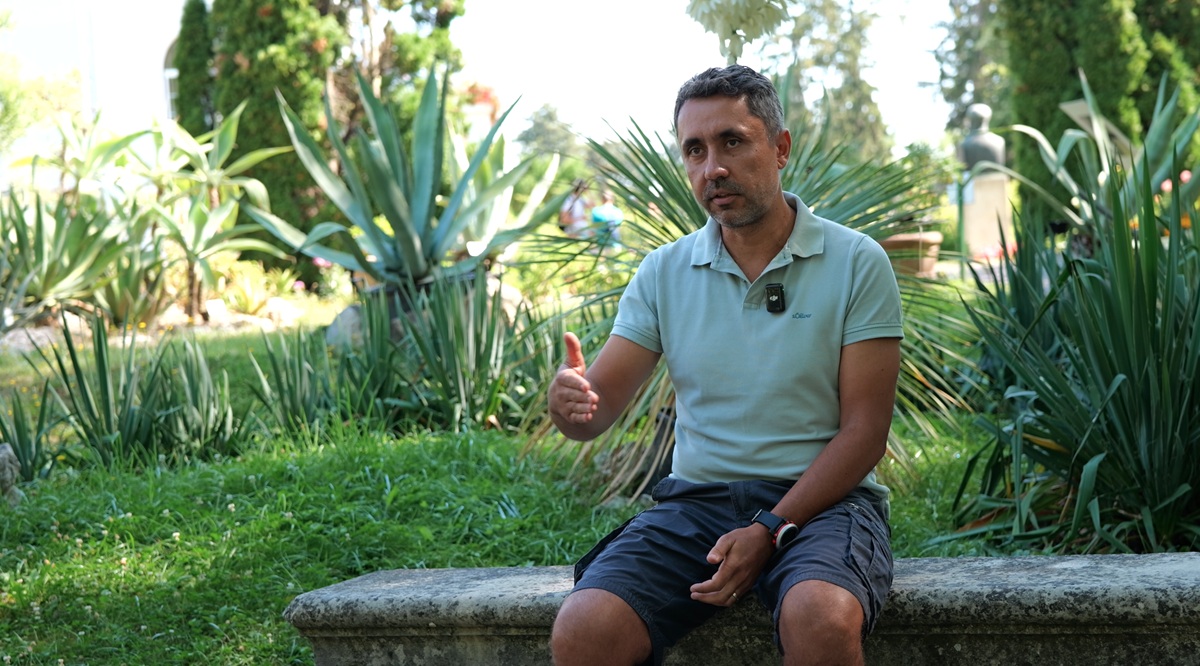 Transformarea Carpaților: înverzirea munților poate pune în pericol biodiversitatea