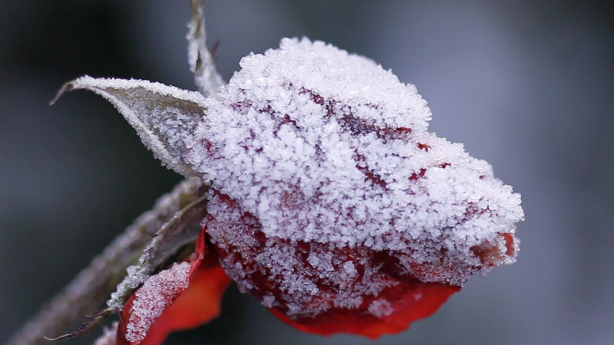 Vortex polar în România: Temperaturi scăzute și vânt puternic încep de la începutul săptămânii viitoare