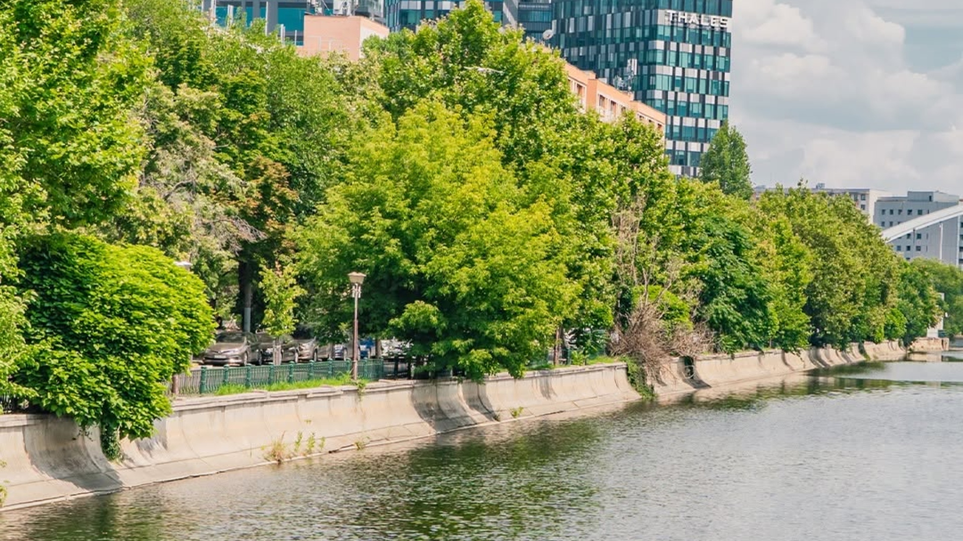 Inventarierea arborilor de pe malul Dâmboviței, un pas spre gestionarea mai bună a spațiilor verzi din București