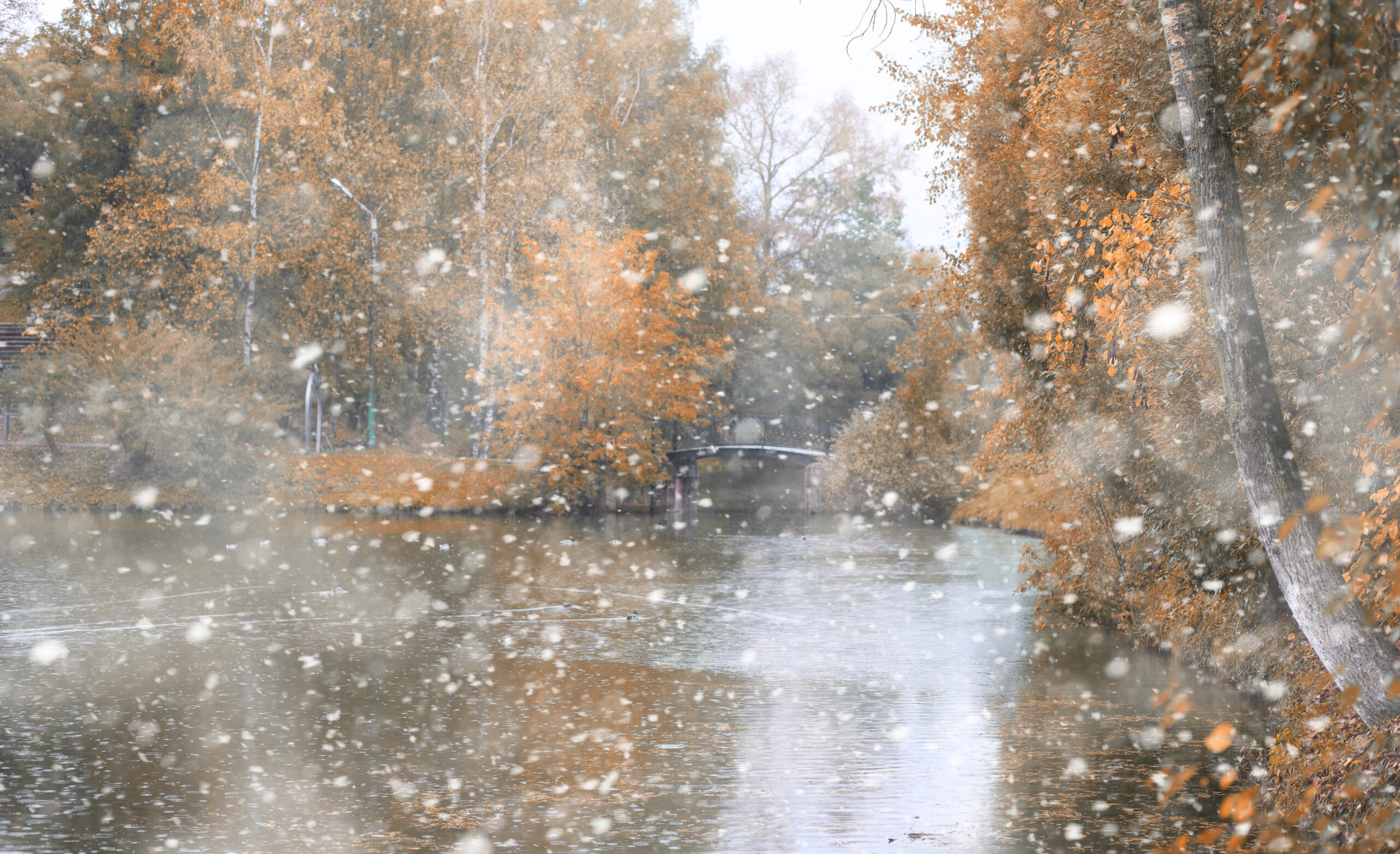 Schimbare radicală de temperatură în România: de la căldură la ninsori și temperaturi scăzute